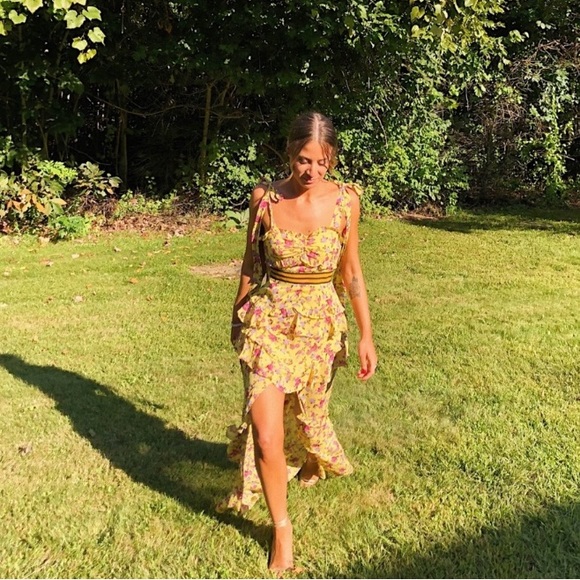 Maison Silk Floral Maxi Dress by For Love and Lemons - Picture 10 of 16